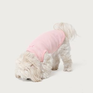 Pawfect Pet Tank Top