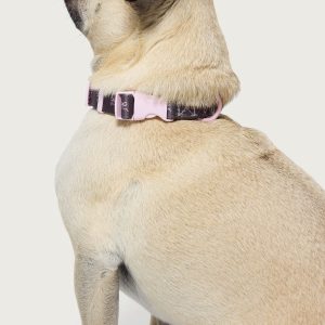 Bonney Bow Pet Collar
