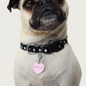 Heart Throb Collar Charm