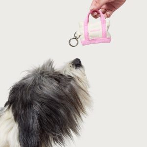 Tidy Tote Poop Bag Holder